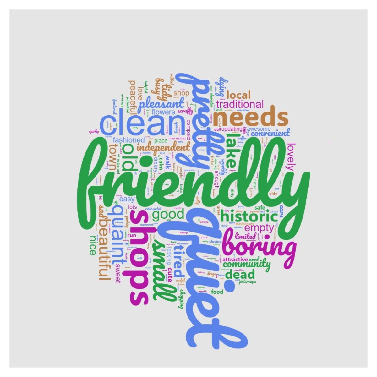 Newent Town Centre Survey