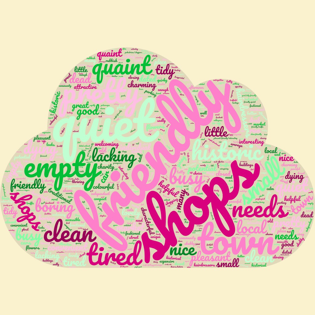 Newent Town Centre Survey 2025 – Preview